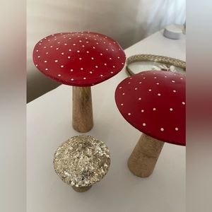 Wooden Mushroom Set